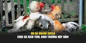 Đá Gà Online 88CLB – Chọi Gà Kịch Tính, Rinh Thưởng Hấp Dẫn!
